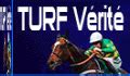 Promo Turf .